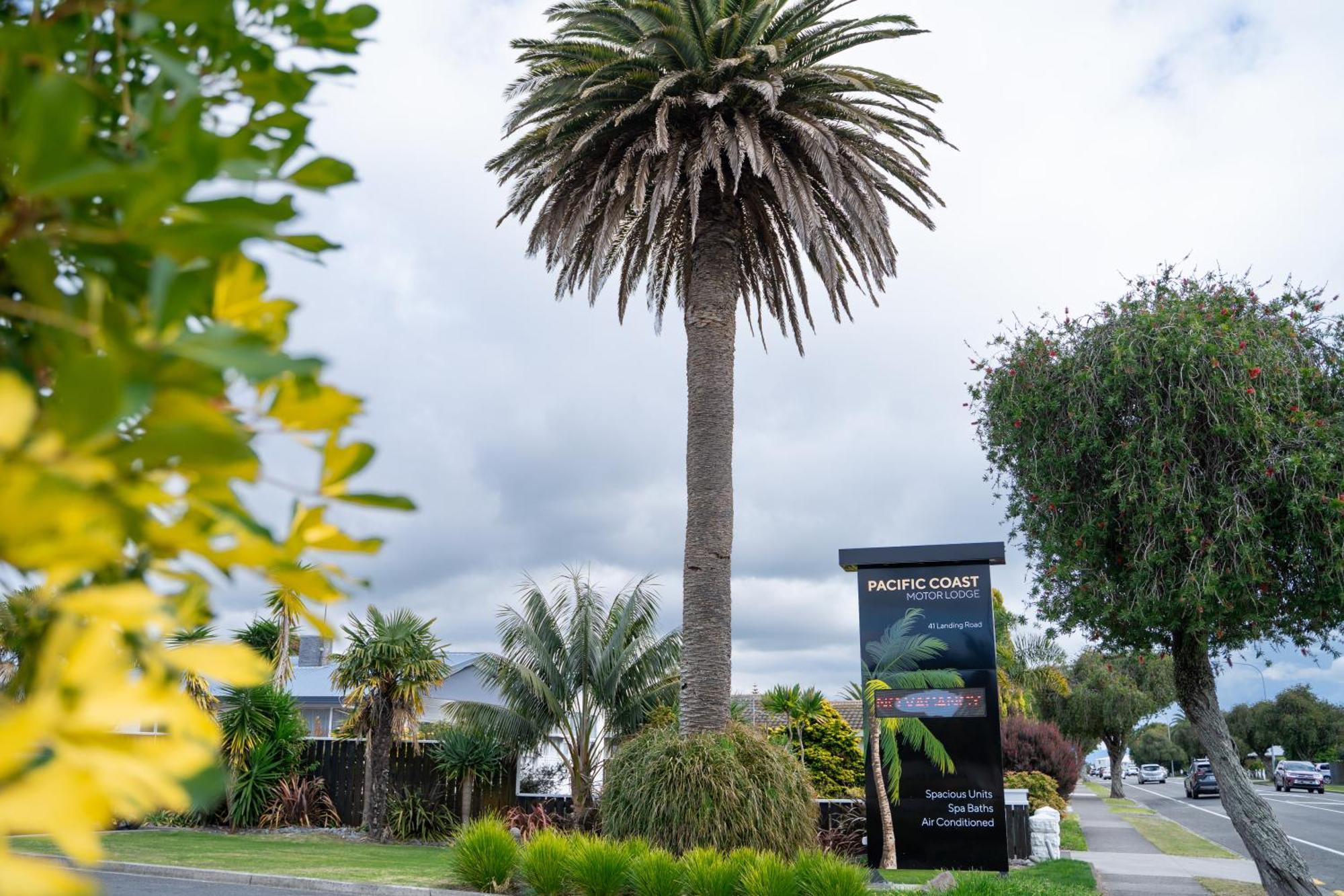 Pacific Coast Motor Lodge Whakatane Ngoại thất bức ảnh